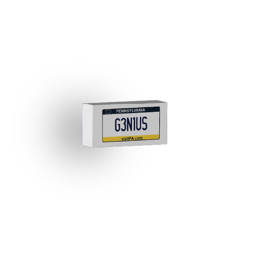 PA: US Based License Plate 1x2 Tile