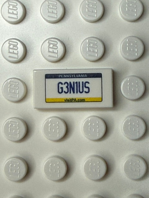 PA: US Based License Plate 1x2 Tile