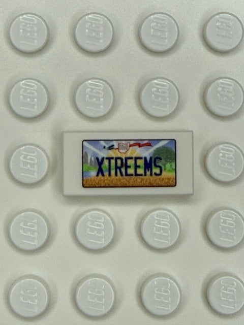 OH: US Based License Plate 1x2 Tile